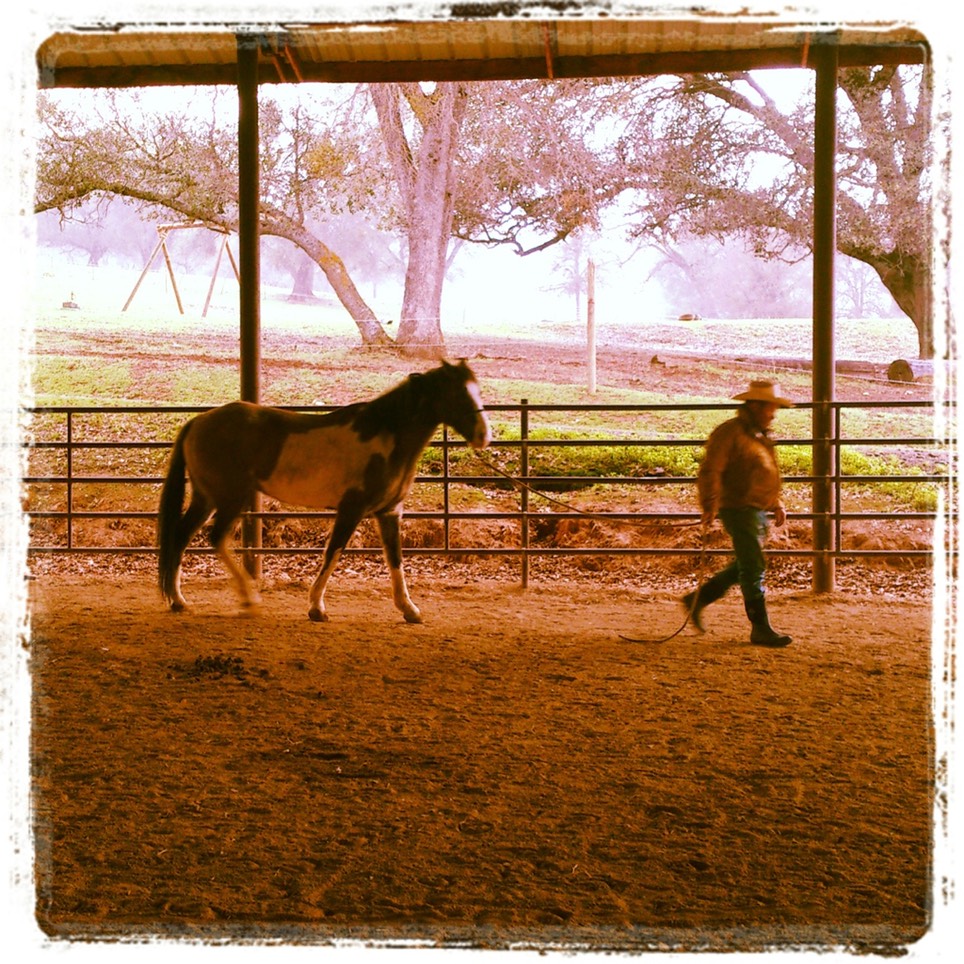 IMG 20140301 083444 1024