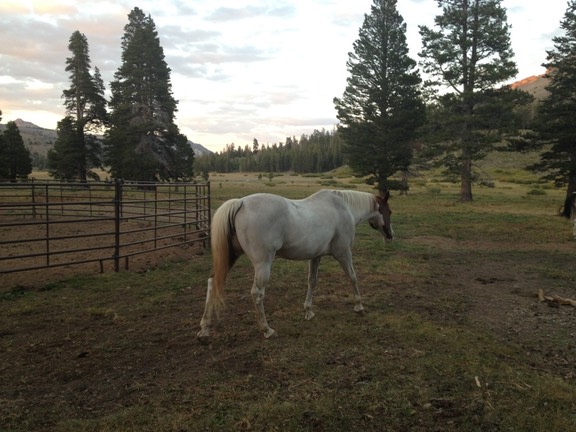 UNADJUSTEDNONRAW thumb 4004