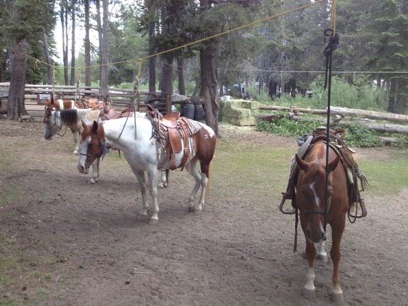 UNADJUSTEDNONRAW thumb 669