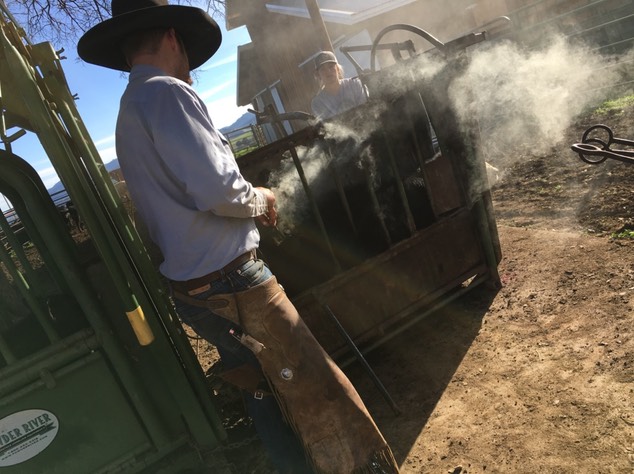 UNADJUSTEDNONRAW thumb 6954