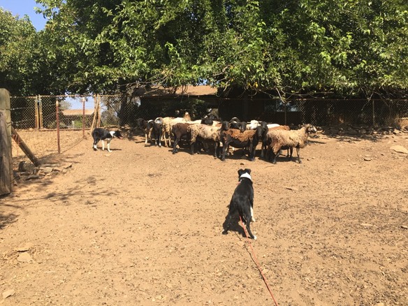 UNADJUSTEDNONRAW thumb 6f20