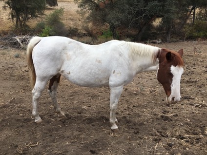 UNADJUSTEDNONRAW thumb 7136