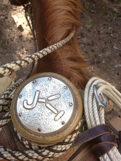 UNADJUSTEDNONRAW thumb 715