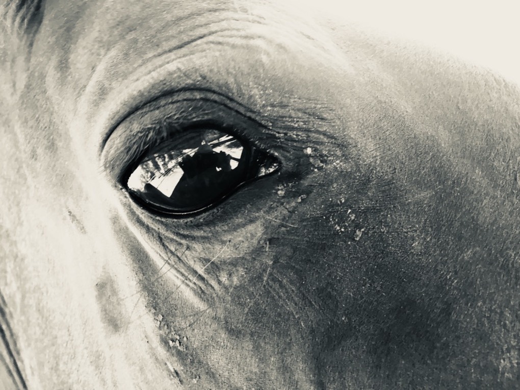 UNADJUSTEDNONRAW thumb 71ff