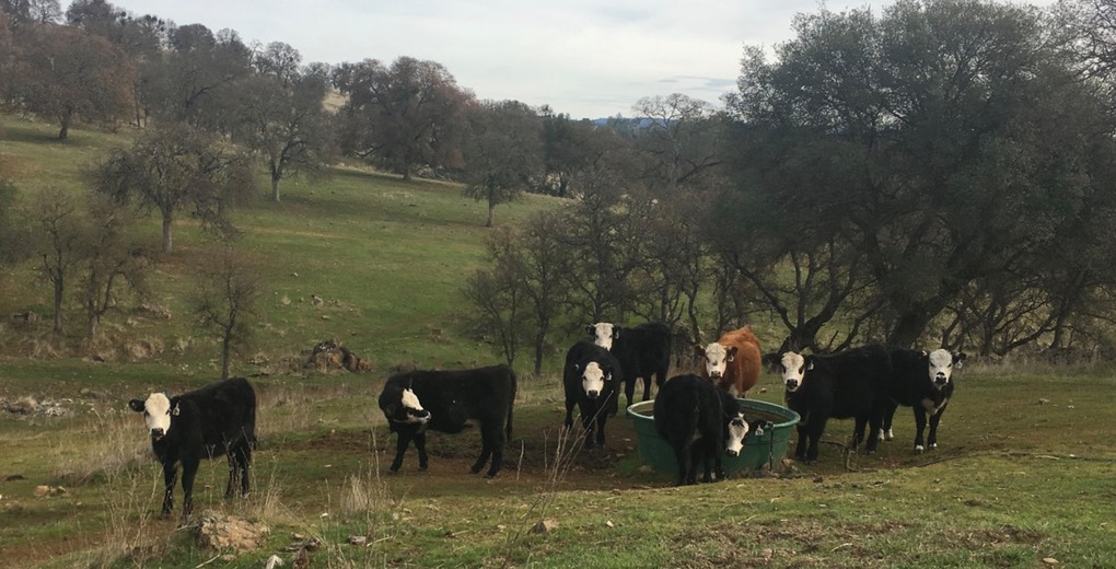 vRFpZtJwSYqo9RbAFFdyeQ thumb 729a